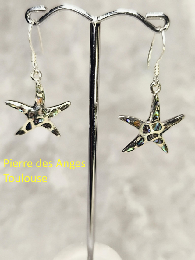 Boucle d'Oreilles Nacre Abalone