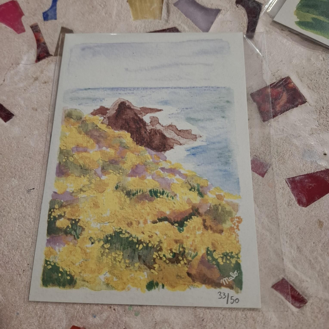 Mal4 carte Cap Frehel 