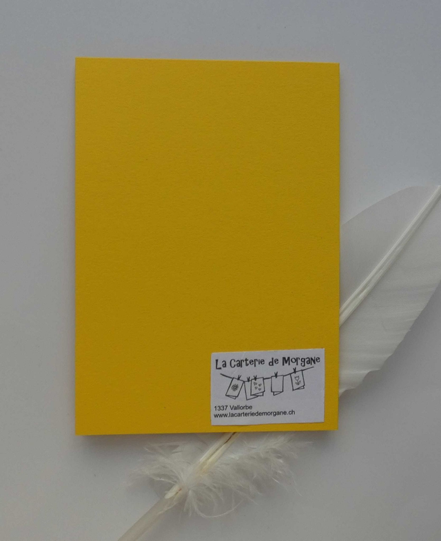 La grenouille de la bonne année