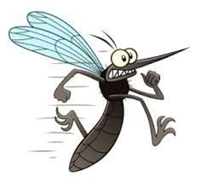 Parfum ambiance naturel : Eloigne les insectes, soulage les piqûres, neutralise odeurs / spray 30 ml