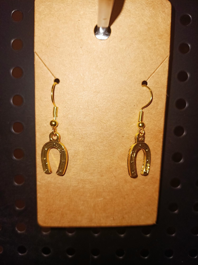 Boucles d'oreilles fer à cheval 