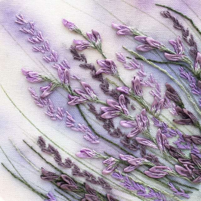 LAVENDER | Botanical Study