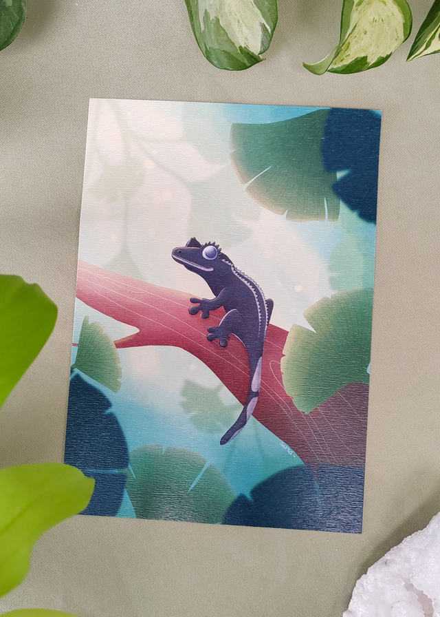 Print - Gecko à crête Axanthique