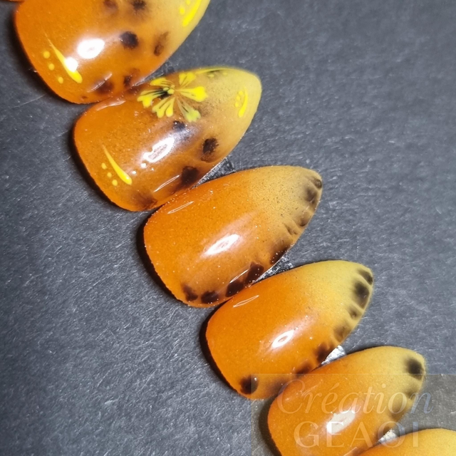 Buttercup sunset little amande xs( créer a la commande délai 7 jours)