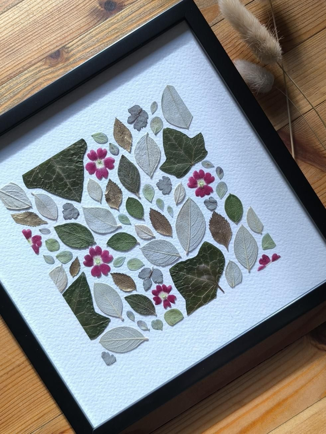 Herbier d'Art Mosaïque