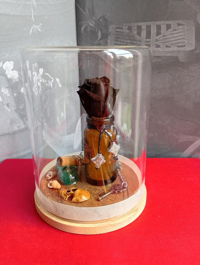 D23 Mini pirate noir