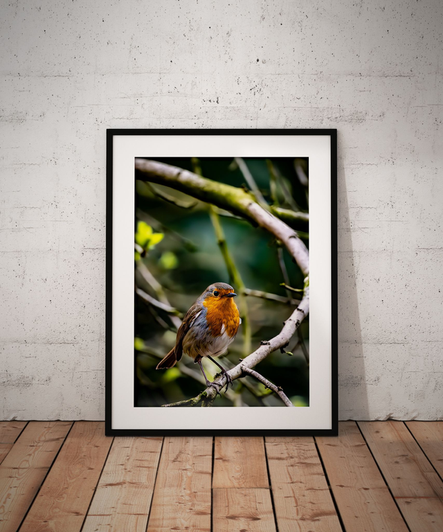 Perched, North Yorkshire