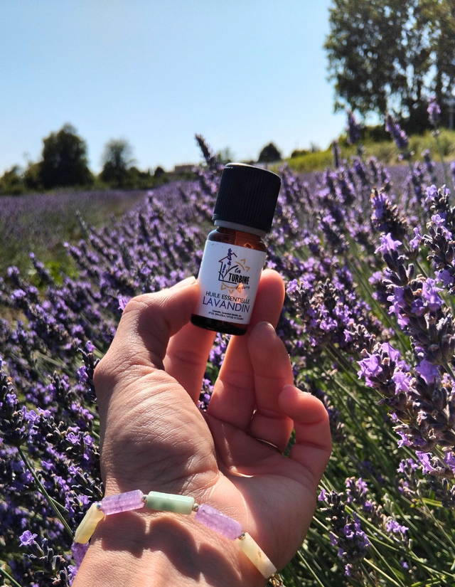 Huile essentielle de lavandin