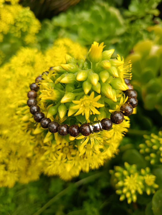 Bracelet Kélyan Homme – Bronzite Ajustable