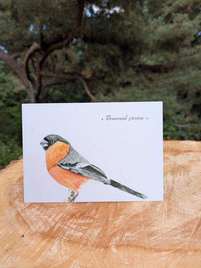 Carte postale bouvreuil pivoine