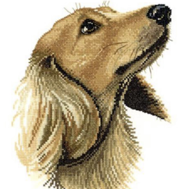 Jasper Cross Stitch Kit by Heritage