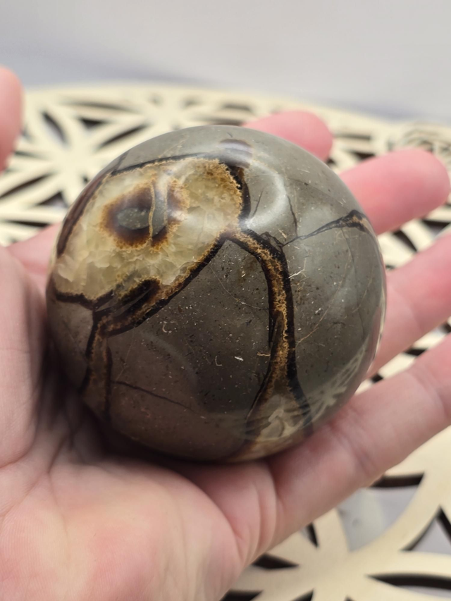 Septaria forme sphère