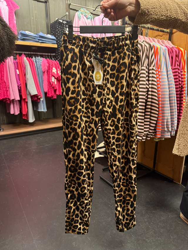 PANTER STUNT BROEK - BRUIN