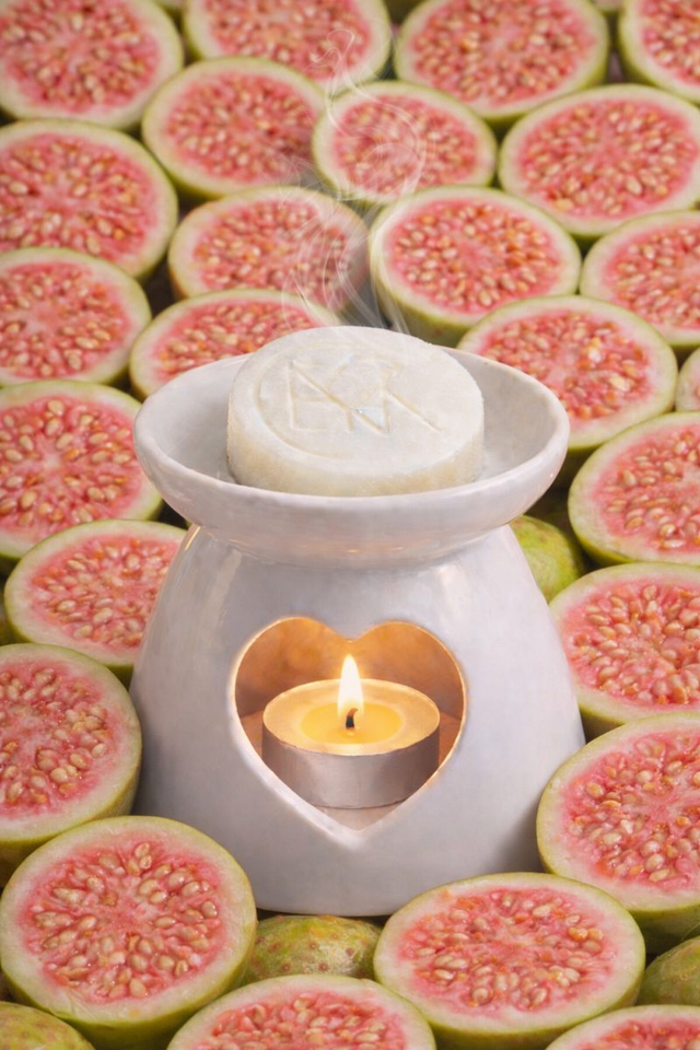 GOYAVE GALET FONDANT 15g