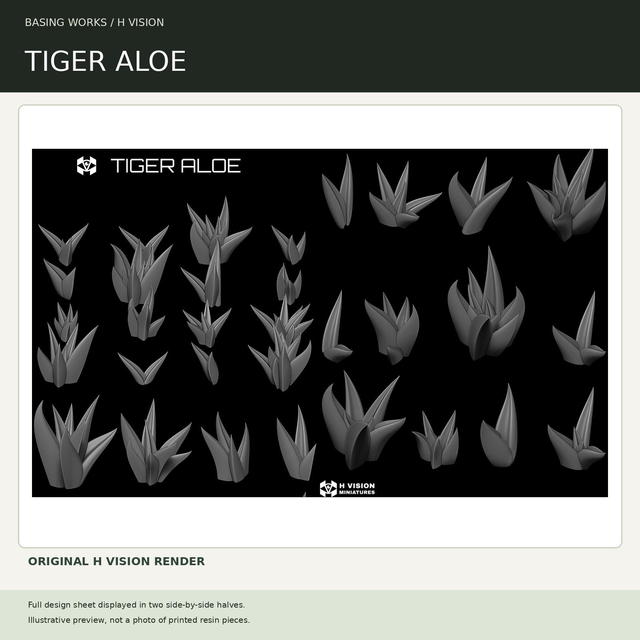 H Vision - Tiger Aloe