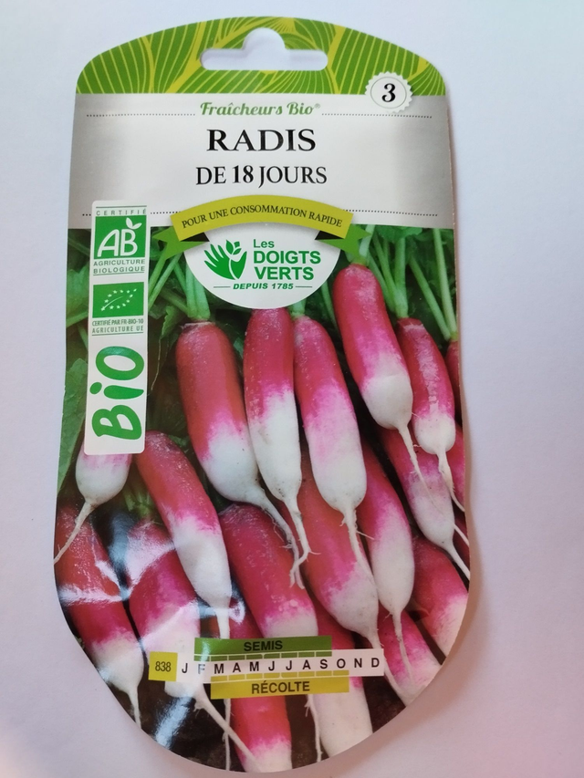 Radis de 18 jours BIO