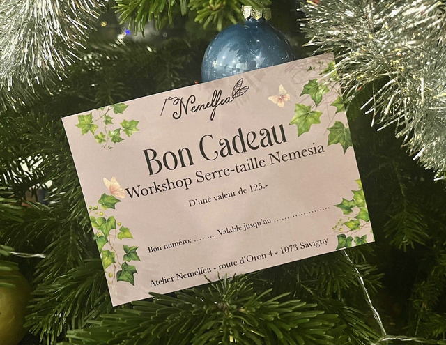 Bon cadeau workshop Serre-taille