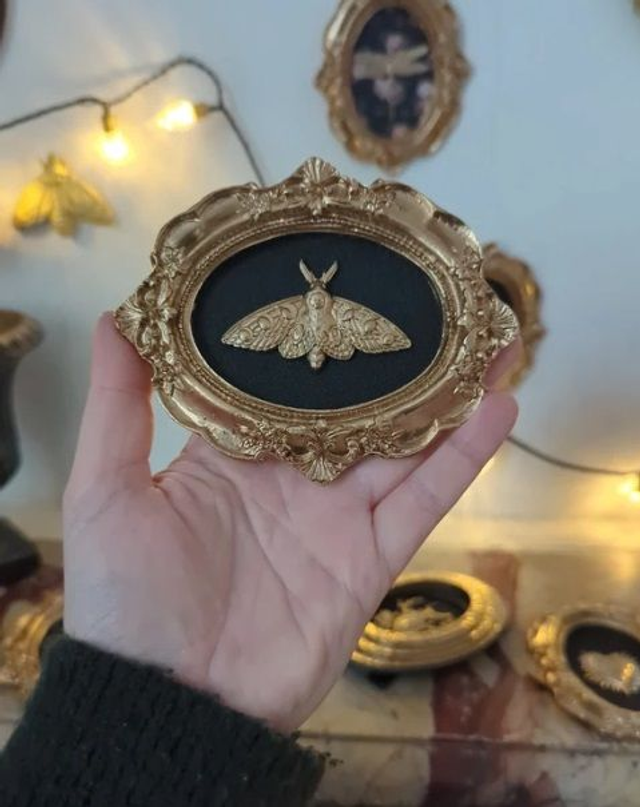 Cadre baroque doré papillon de nuit