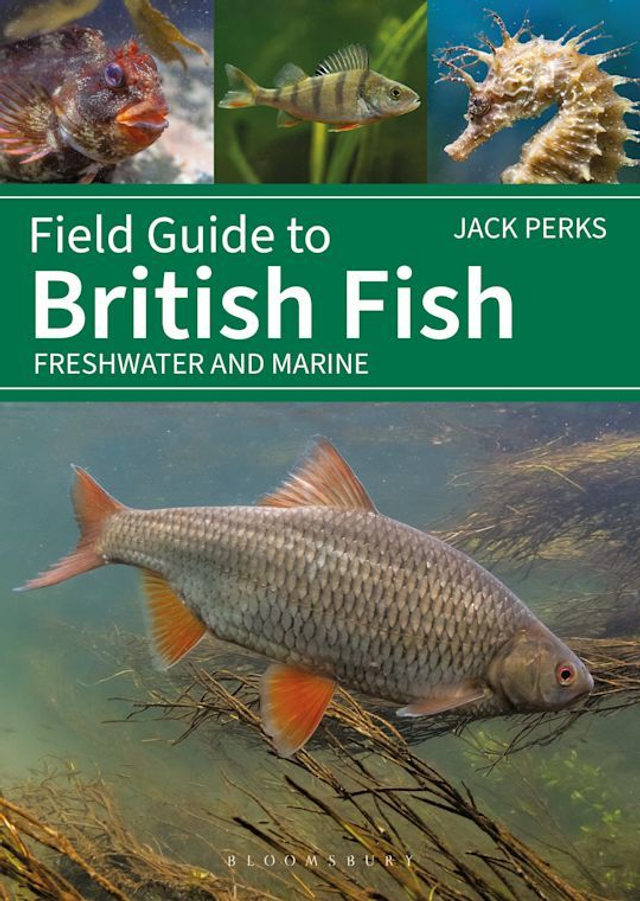Signed Copy of Field Guide to British Fish