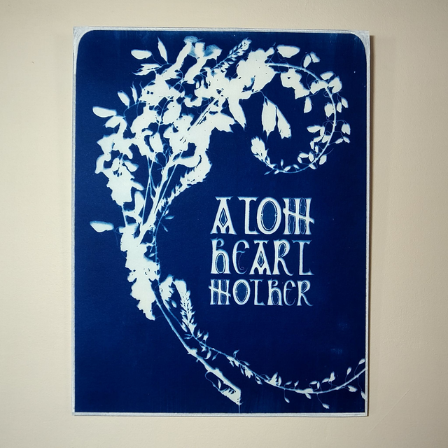 Cyanotype "Atom heart mother" &amp; végétaux