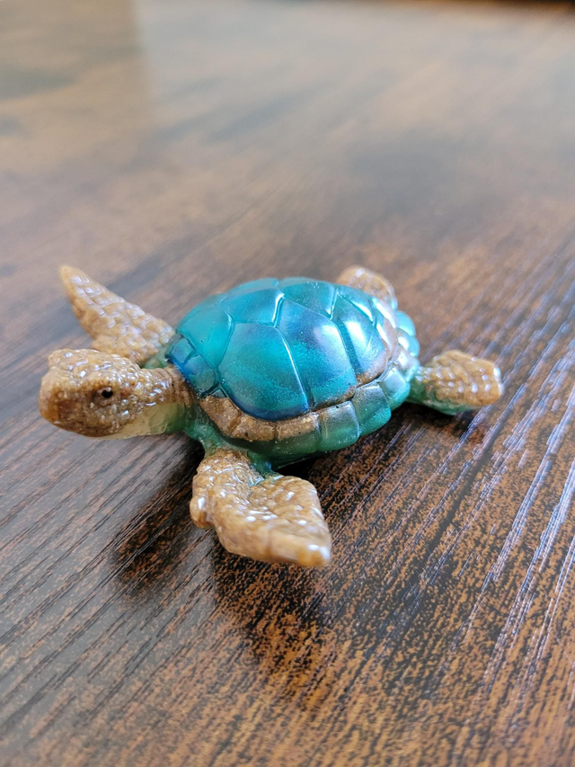 Jolie tortue marron et verte 