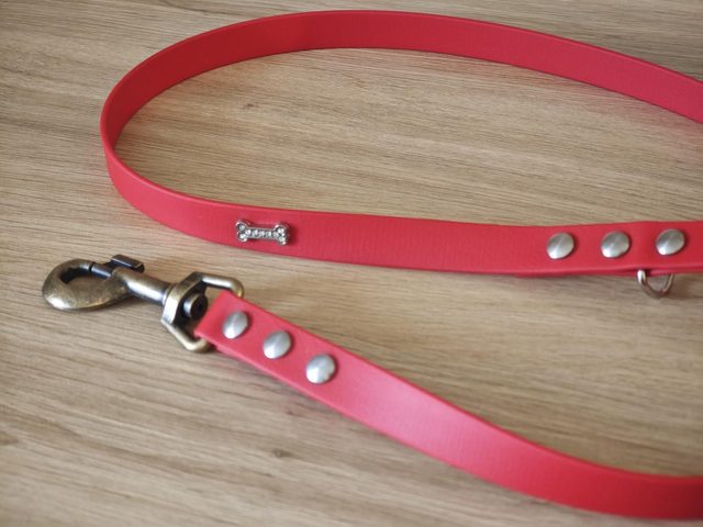 Laisse 19mm biothane de 1,25m de longueur !