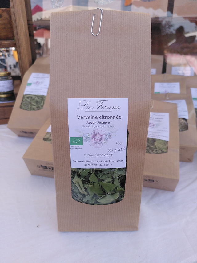 Verveine citronnée