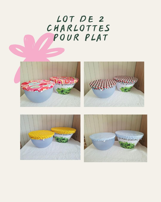 Lot de 2 charlottes pour plats