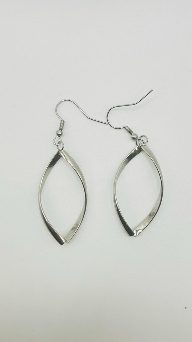 Stainless Steel Earrings (SSE3J)