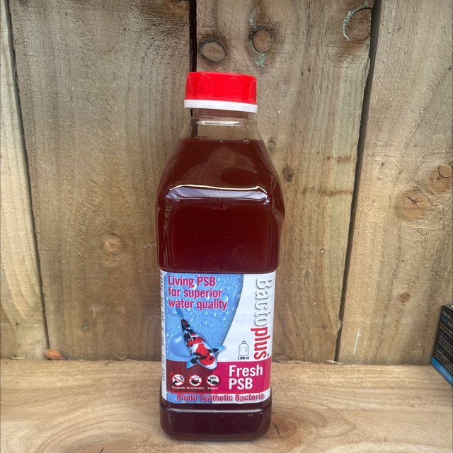 Bactoplus- Fresh PSB - Photo Synthetic Bacteria- 2L 
