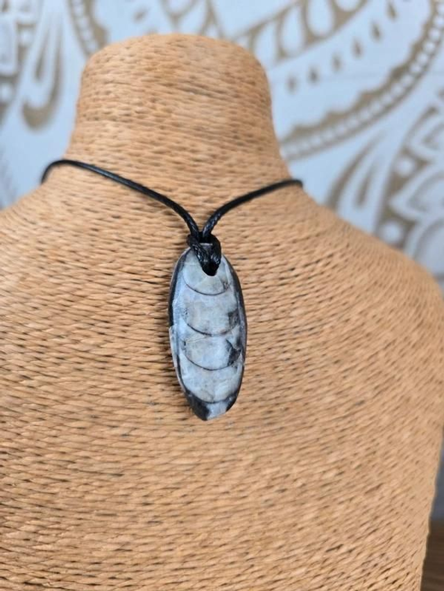 Orthocères fossile - Pendentif pierre percée n°2