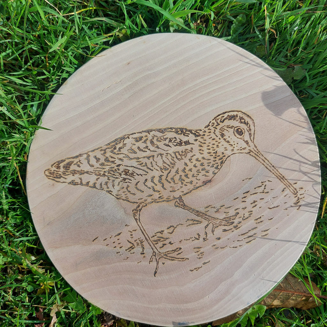 Dessous de plat bécasse 