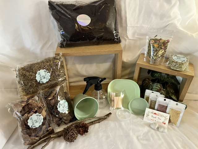 Complete Giant African Land Snail Habitat Starter Kit 