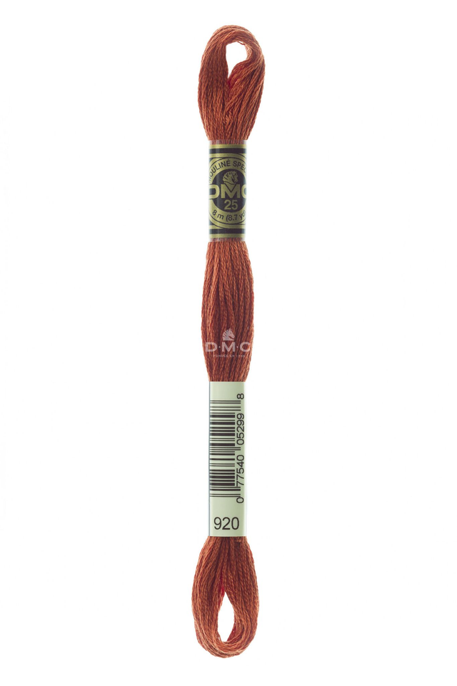 N°920 Mouliné Spécial DMC