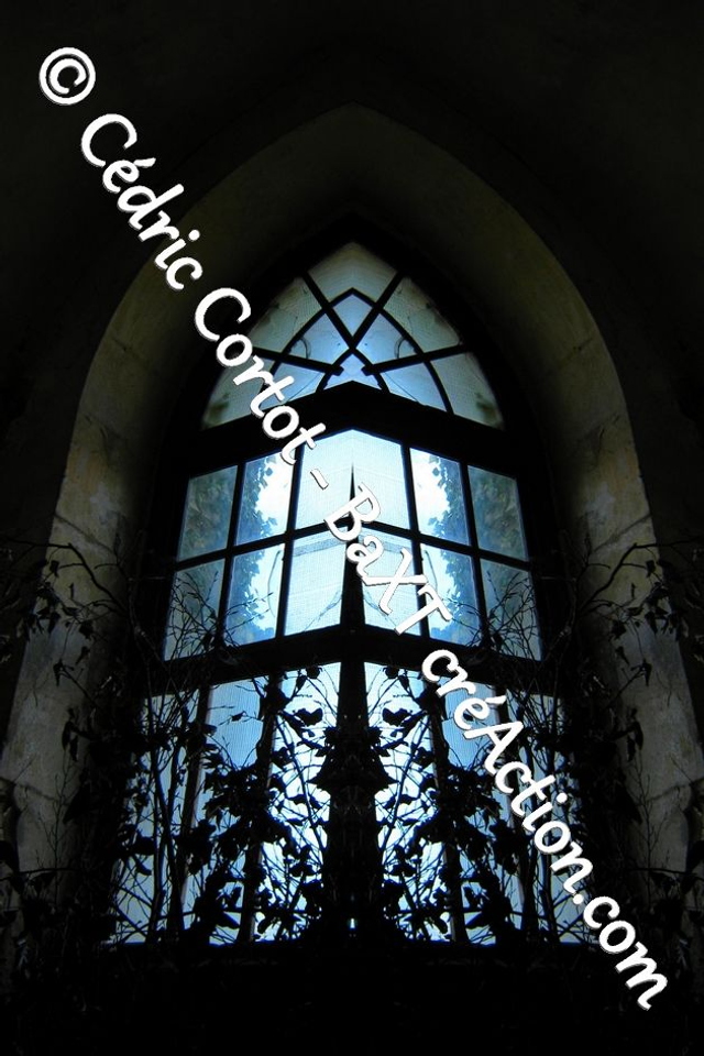 Impression sur alu dibond - Entre réel et irréel (ref 3752 2-2)