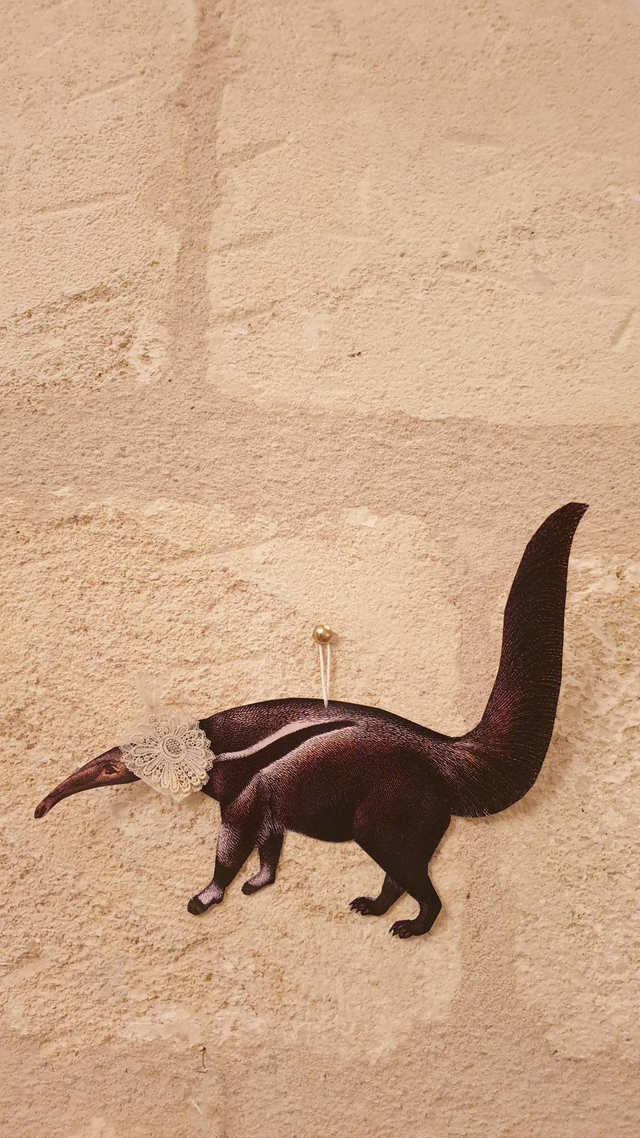 Décoration murale en papier et dentelle ancienne