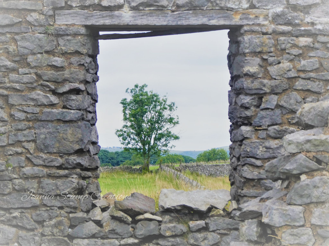 Photographic Open Edition Print, from my "Ancient Windows" collection, "Magpie View" 