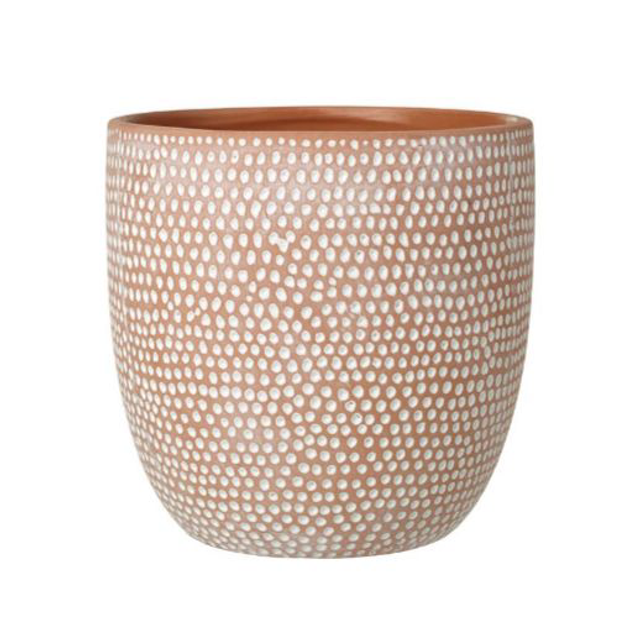 Spotted Terracotta Pot