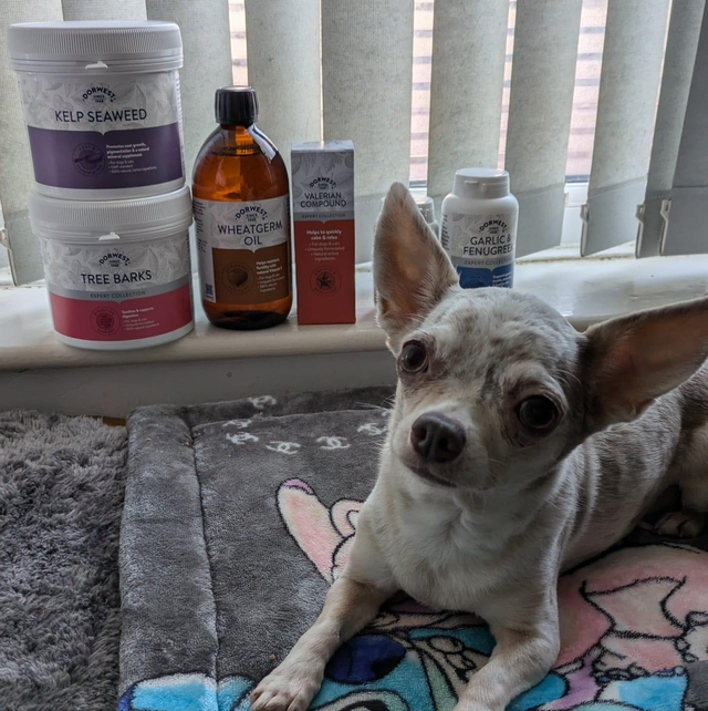 Dorwest Herbal Supplements for Dogs &amp; Cats