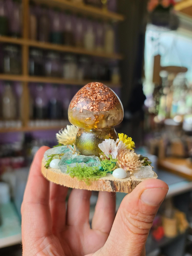 Mini champignon 🍄 N°5