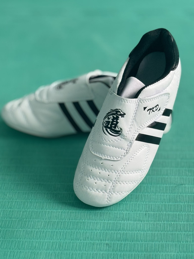 Limited Edition Kung Fu Shoes