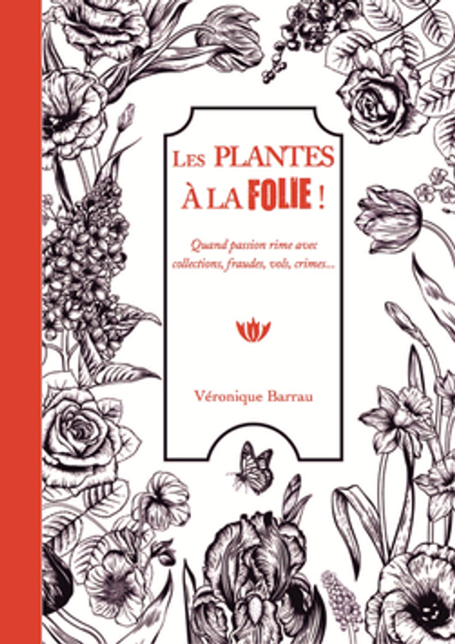 LES PLANTES A LA FOLIE