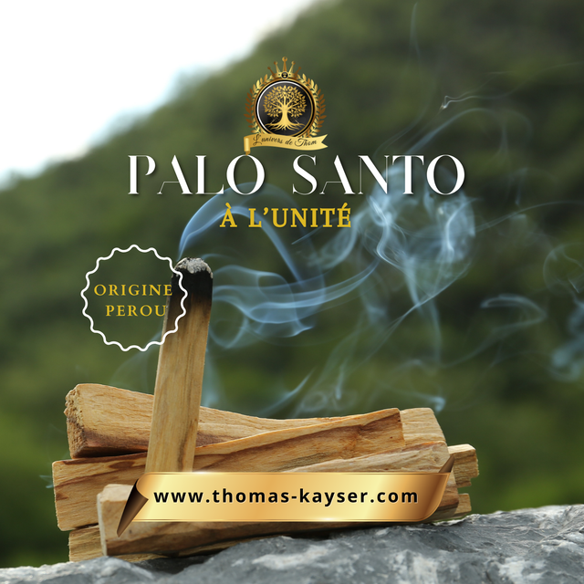 Bâton de Palo Santo Unique