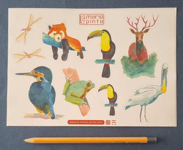 Stickers / auto collant forêt, marais