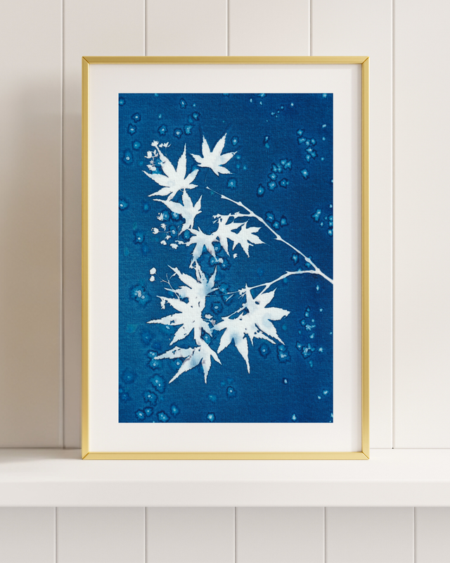 Premières Neiges (Érable)