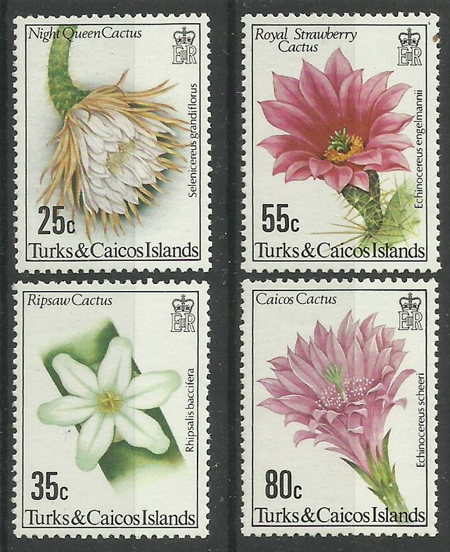 Turks &amp; Caicos 1981 Flowering Cacti,Flowers Set MNH