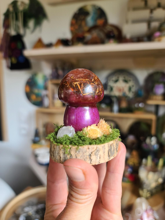 Mini champignon 🍄 N°6