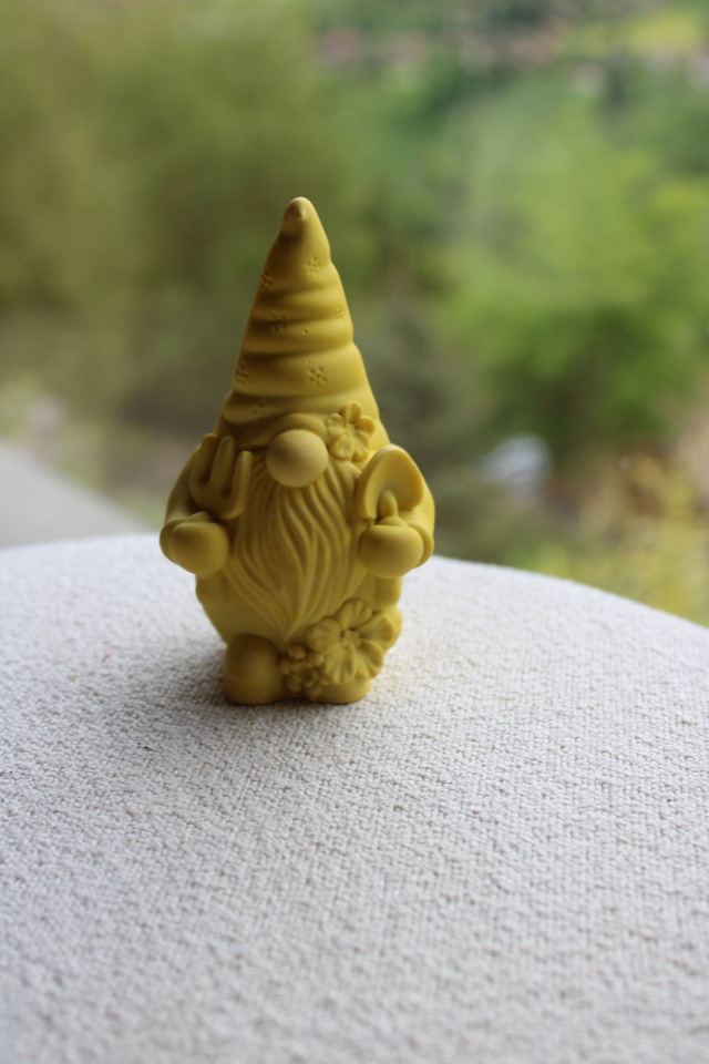 Gnome 
