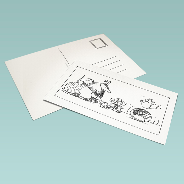 Postcard "ARMADILLO"