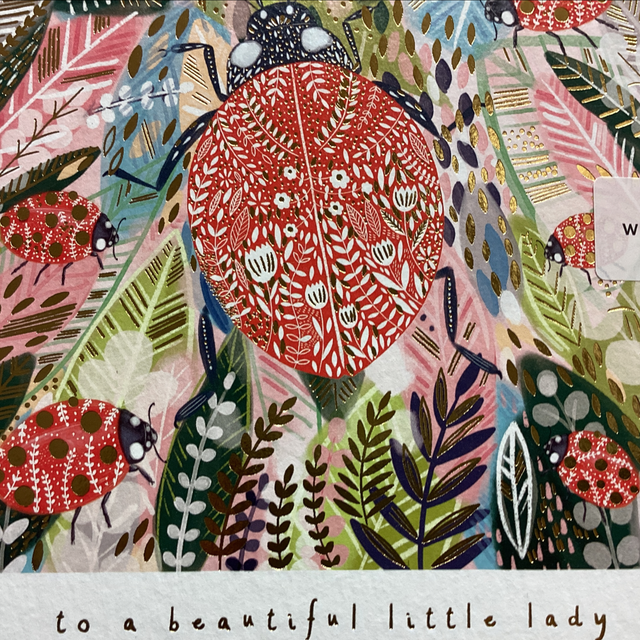 Blank - to a beautiful little lady WF